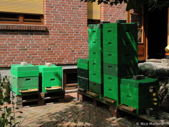 Hausstand Buxtehude