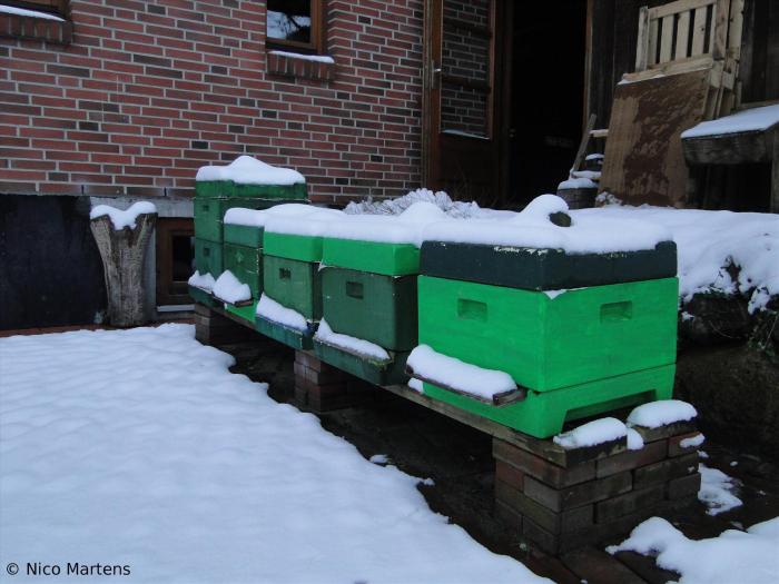 Winter Garten
