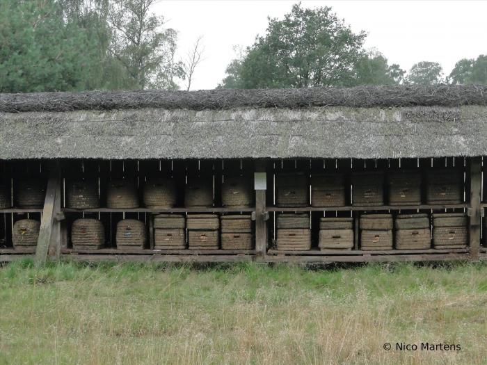 Korbstand