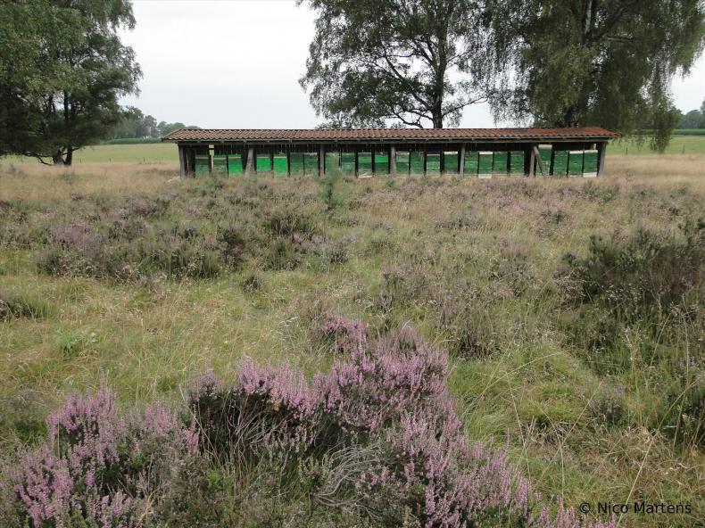 Stand an der Heide