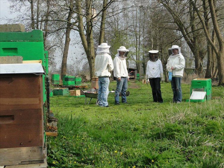 Besprechung