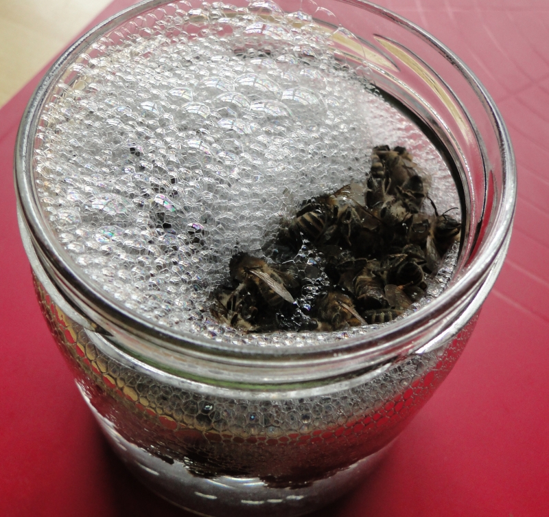 Bienenwäsche