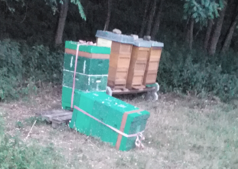 Umgekipptes Biennevolk