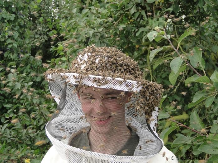 Bienenflüsterer